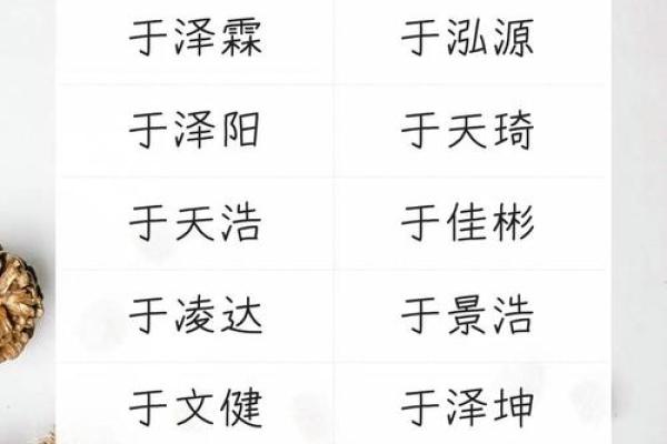 于姓宝宝起名指南：给宝宝起个有品位的名字