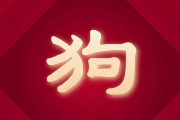 明年狗年五行是什么命？揭秘2025狗年命理运势