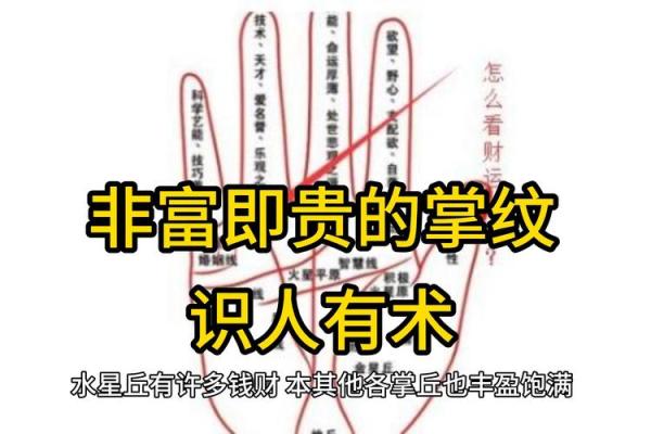 揭秘手相密码：纹理细节，揭示你的命运财运