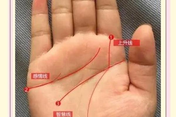 揭秘手相密码：纹理细节，揭示你的命运财运