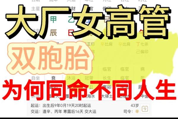 生双胞胎的八字解析