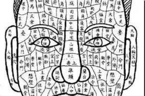 识人高手必备：揭秘面相妻座，一眼看透人心