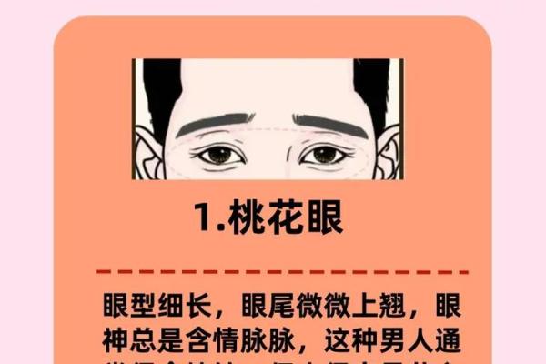 识人高手必备：揭秘面相妻座，一眼看透人心