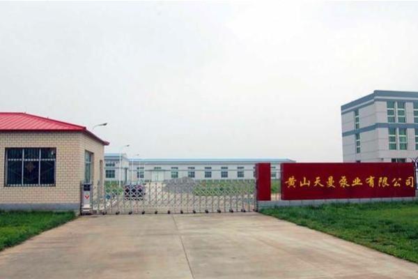 水泵公司命名指南：如何选择一个响亮的公司名字