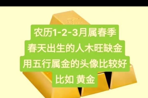 木之缘：生肖缺木者的运势逆袭指南