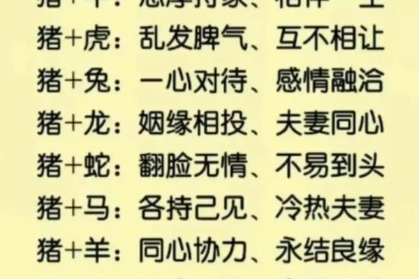 免费排盘揭秘你未来的婚姻配偶，快速了解你的缘分！