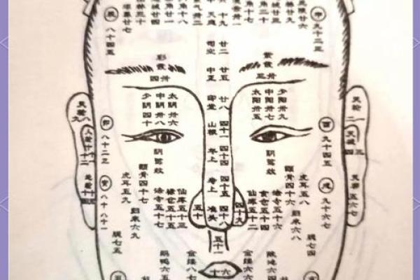 刘丹李钰面相揭秘：揭秘明星面相中的奥秘与智慧