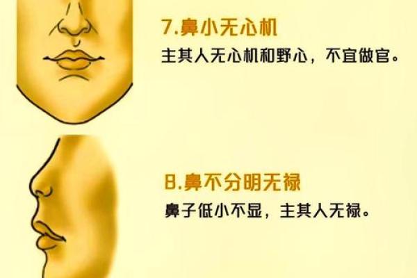 揭秘鼻子面相：财运亨通的秘密武器