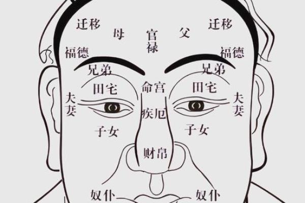 脸上有竖纹，运势如何？揭秘面相中的秘密符号