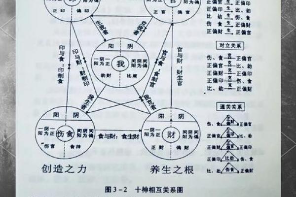 八字十神解码：揭开命运的神秘面纱