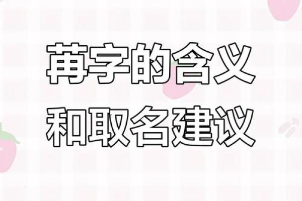 想让名字更有寓意？这单字名字让你轻松脱颖而出