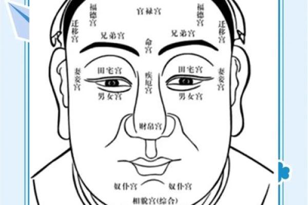 面相揭秘：真的可信一眼看穿命运的秘密
