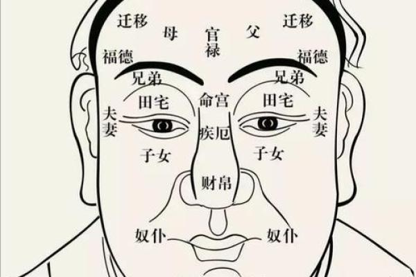 面相识人：纹面解码，揭秘面相中的神秘力量