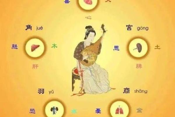 耳朵在五行中代表什么？