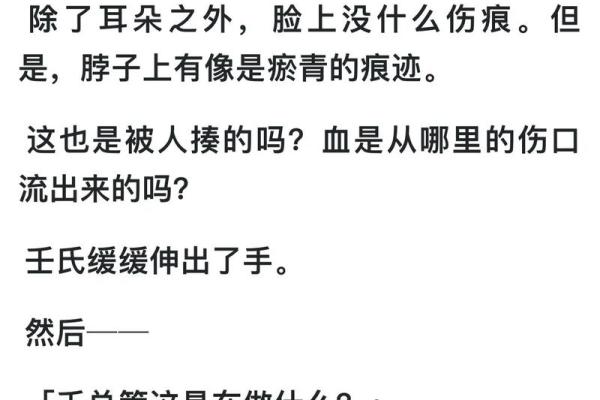 神秘壬子，揭秘独特魅力