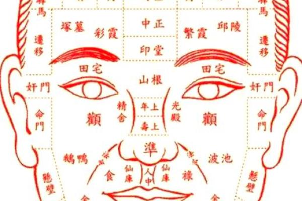 面相12宫深度揭秘：运势、性格、健康全面解析，揭秘你的命运密码