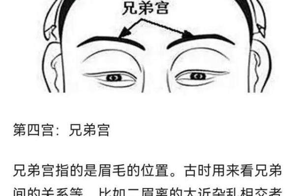 面相12宫深度揭秘：运势、性格、健康全面解析，揭秘你的命运密码