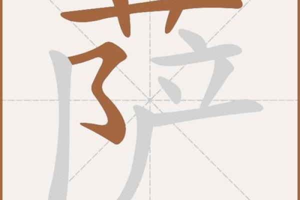 萨字公司名字大全，独特且有韵味