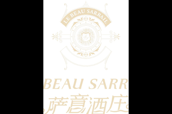 萨字公司名字大全，独特且有韵味