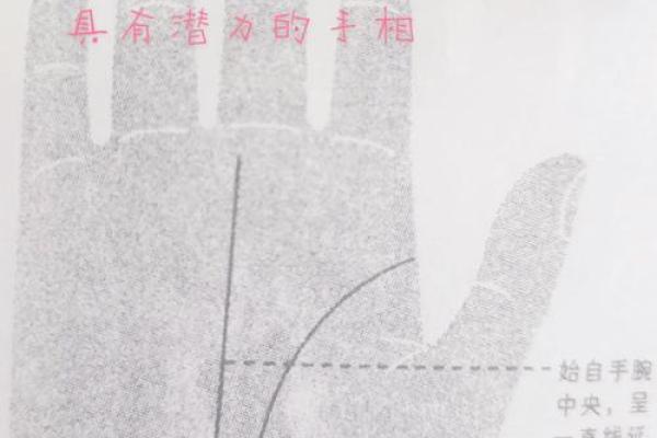 太阳线在手，健康无忧，揭秘手相中的秘密密码