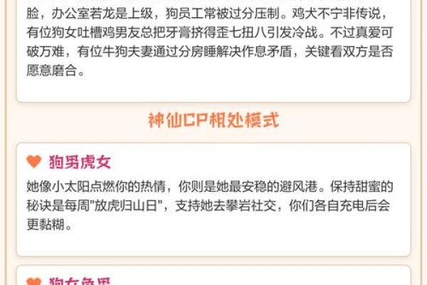 配对属相，找到你的命中佳人