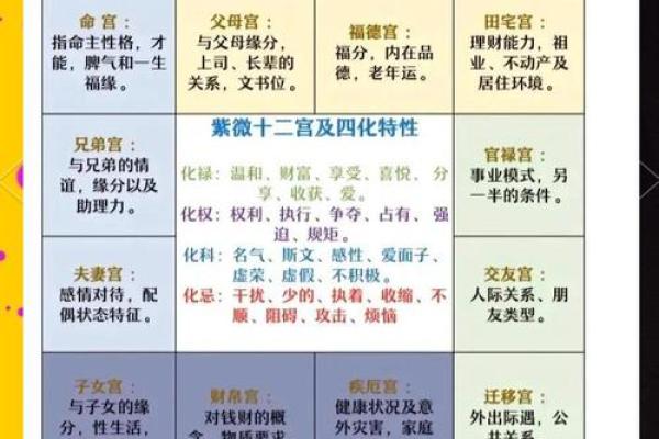 探索紫微斗数与八字，揭开命运的真相
