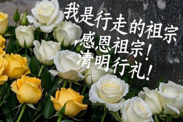 清明时节，寻根祭祖，这份心意，寄予永恒——传承清明，祭奠永恒