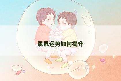 属鼠运势如何提升